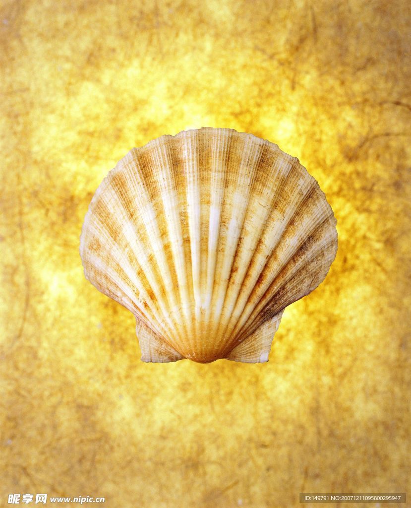 夏日标记