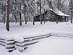 雪景