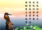 精品国粹