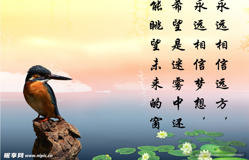 精品国粹