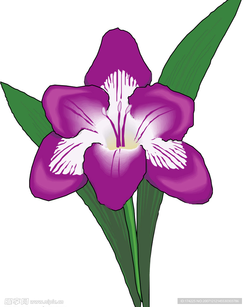 花草
