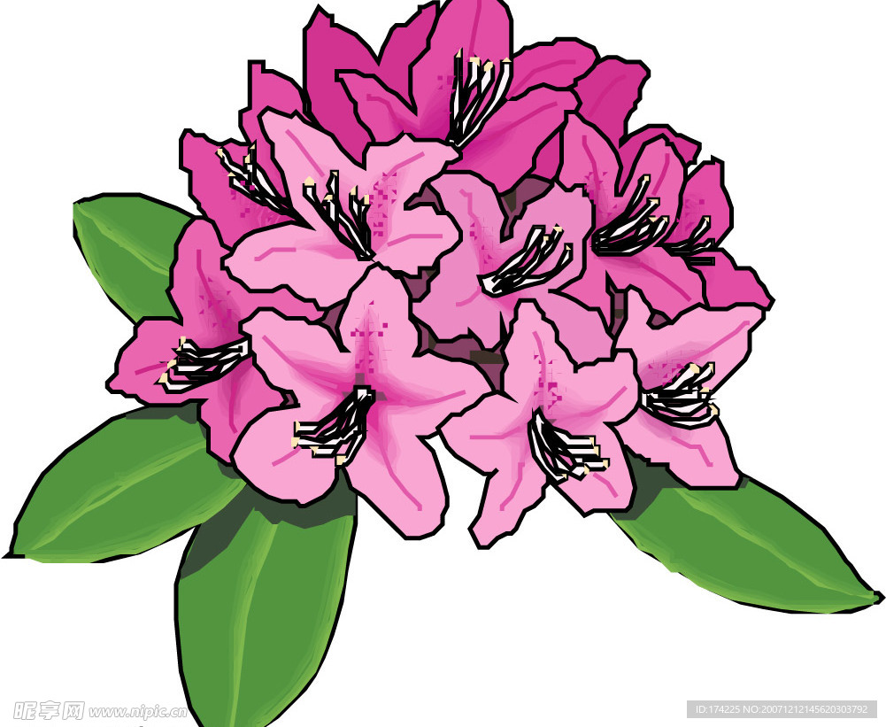 花草