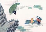 吉祥鸟类