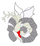 手绘线描效果玫瑰花psd分层素材4
