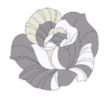 手绘线描效果玫瑰花psd分层素材5
