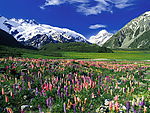 冬天的山角
