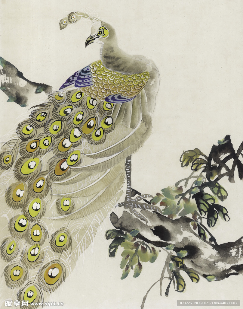 吉祥鸟类