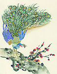 吉祥鸟类