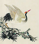 吉祥鸟类