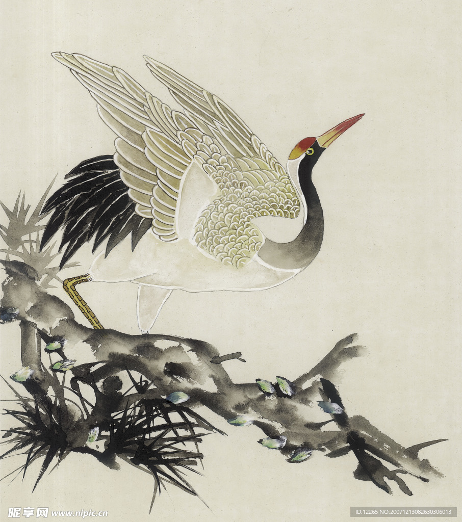 吉祥鸟类