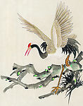 吉祥鸟类