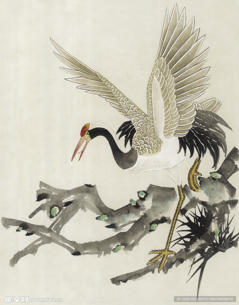 吉祥鸟类