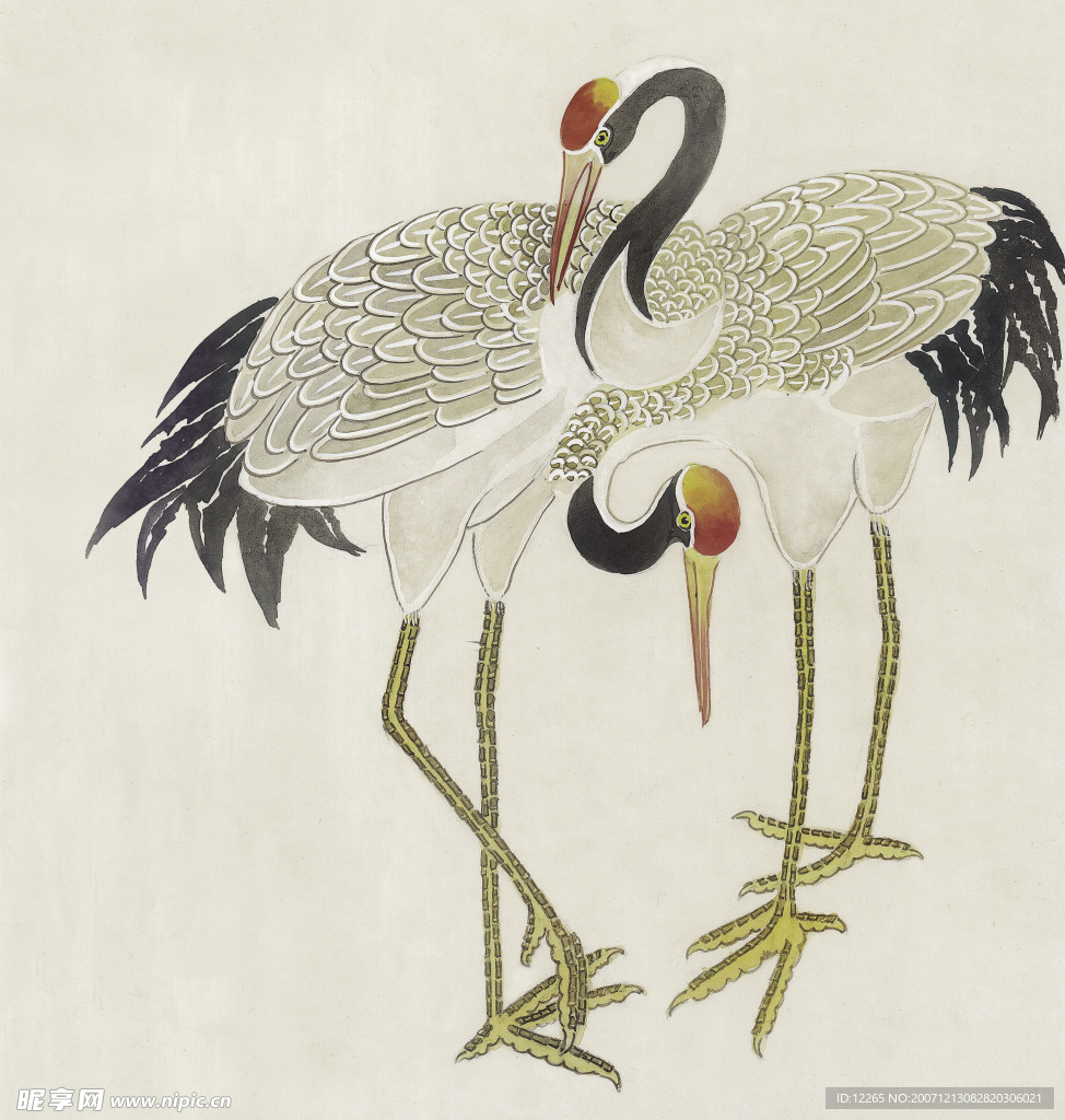 吉祥鸟类
