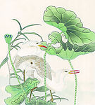 吉祥鸟类