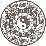 十二肖太极