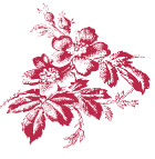 高清晰PSD花纹背景素材
