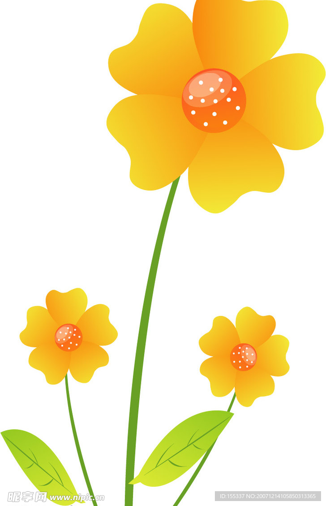 花图片
