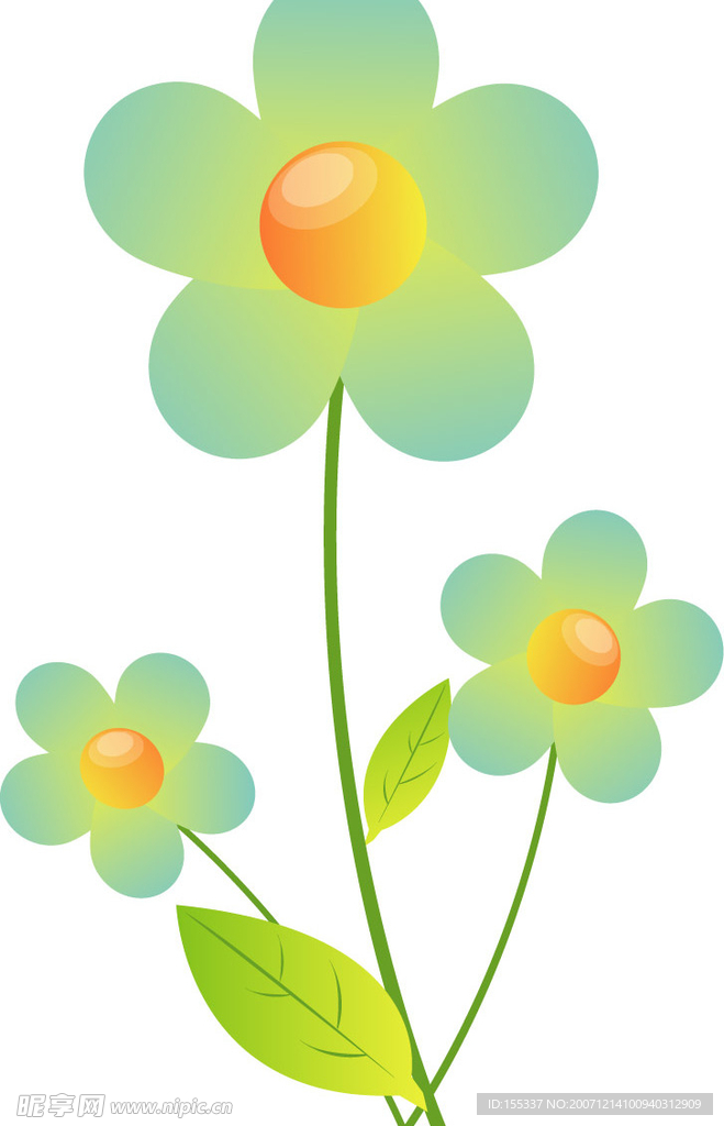 花图片