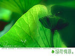 婚纱模板A003
