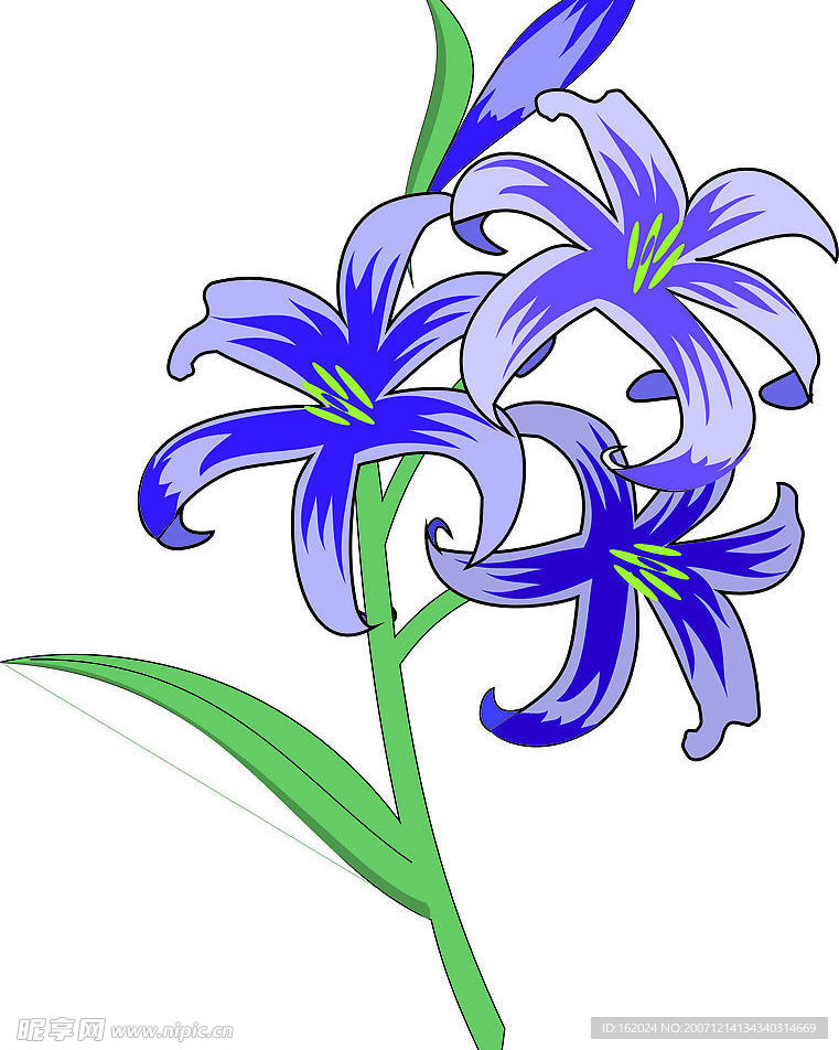 矢量花