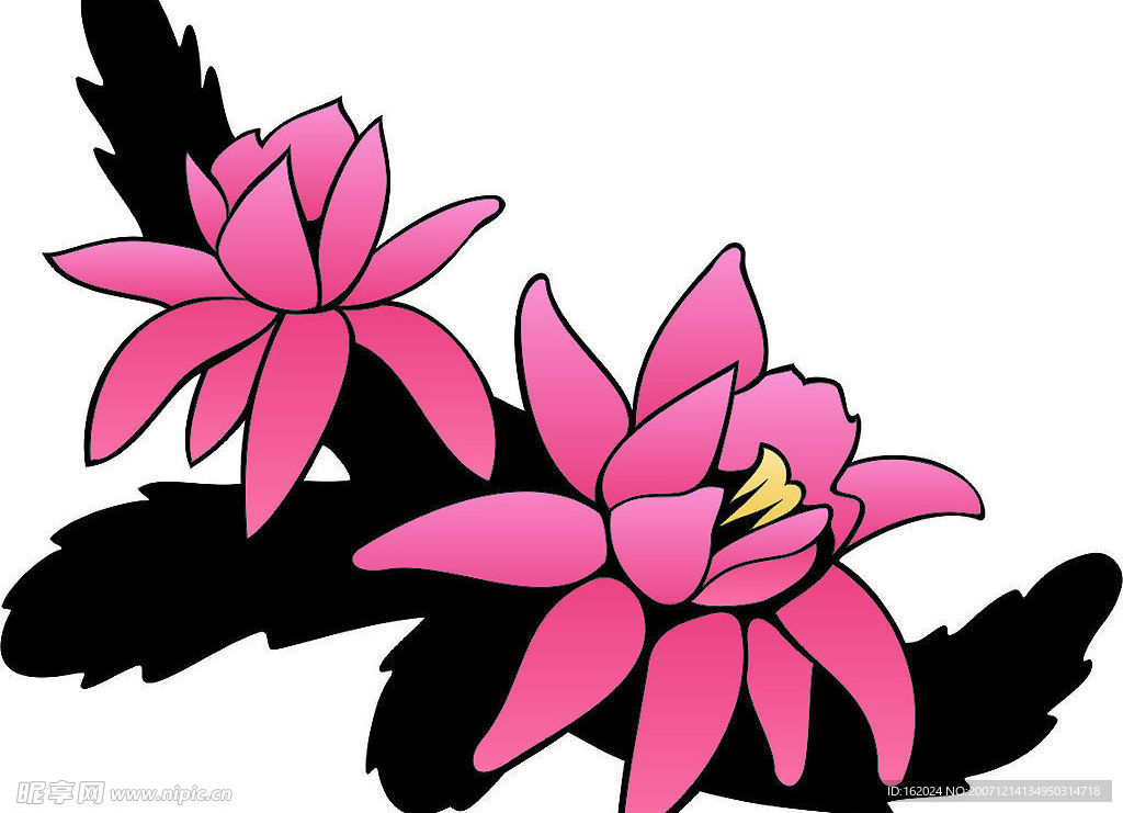 矢量花