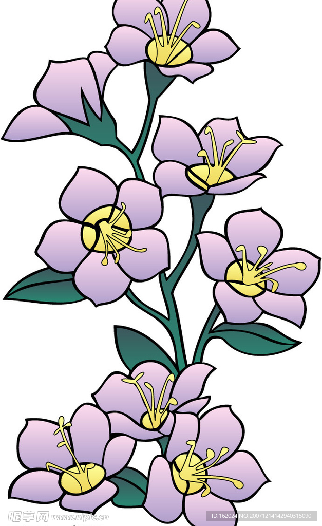 矢量花