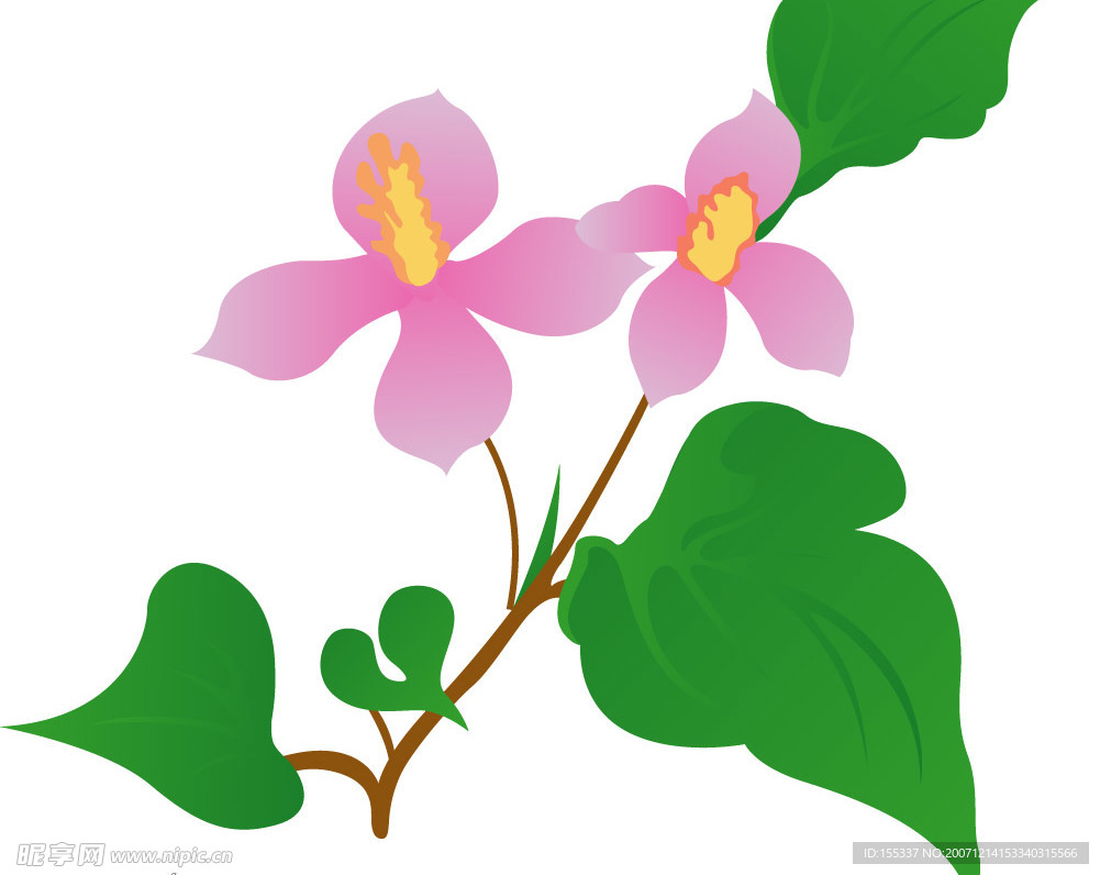 花图片