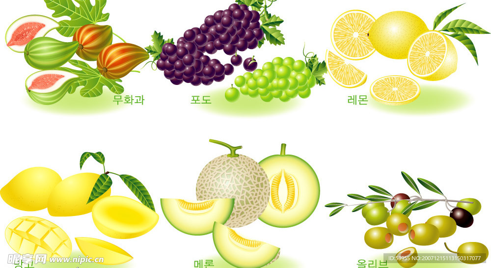 水果系列2