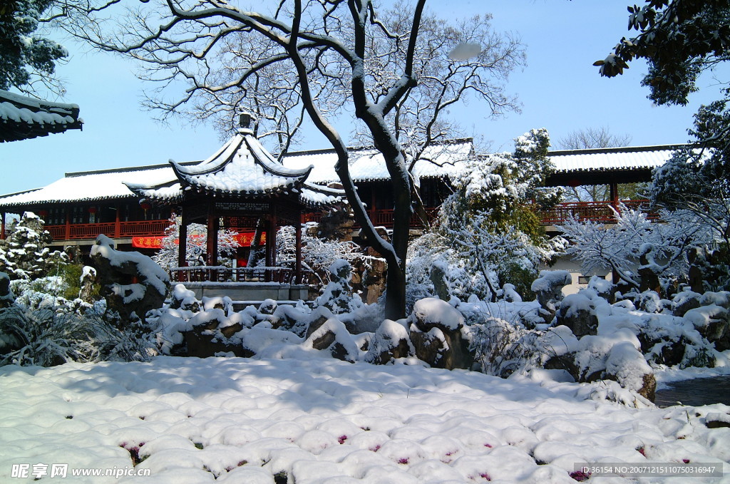 个园冬景