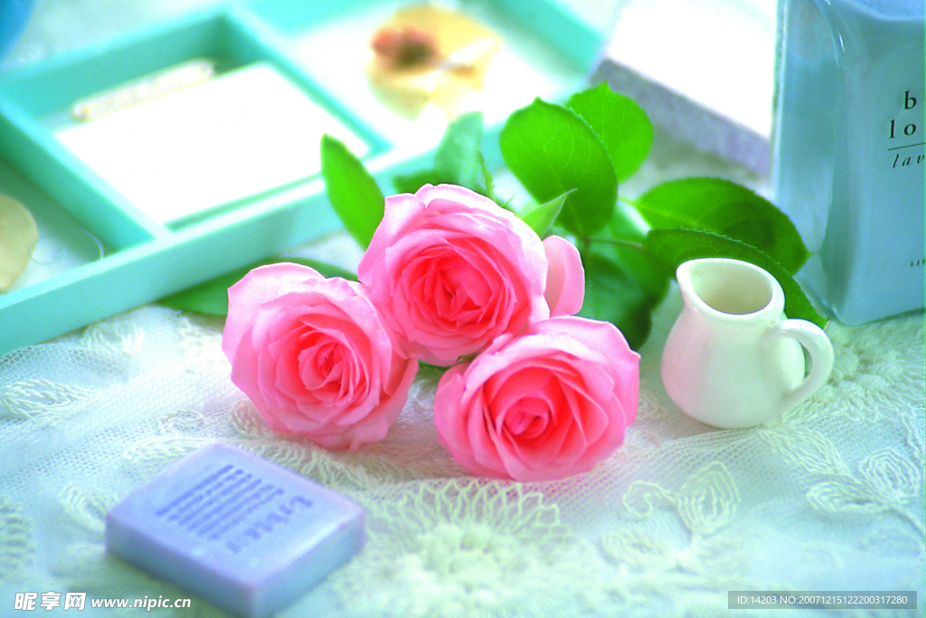 玫瑰花