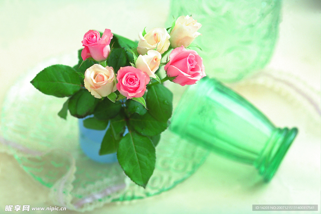 玫瑰花