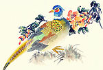 吉祥鹊鸟
