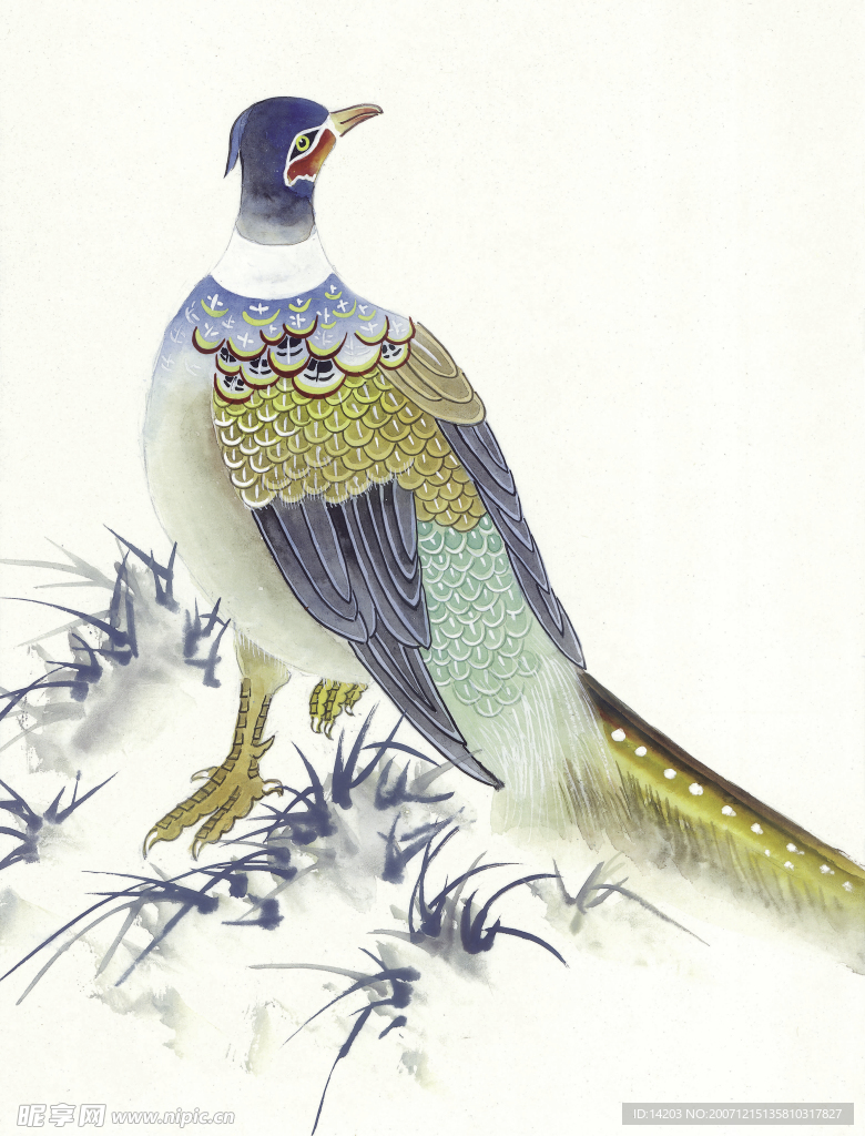 吉祥鹊鸟