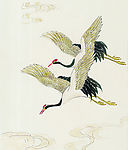 吉祥鹊鸟