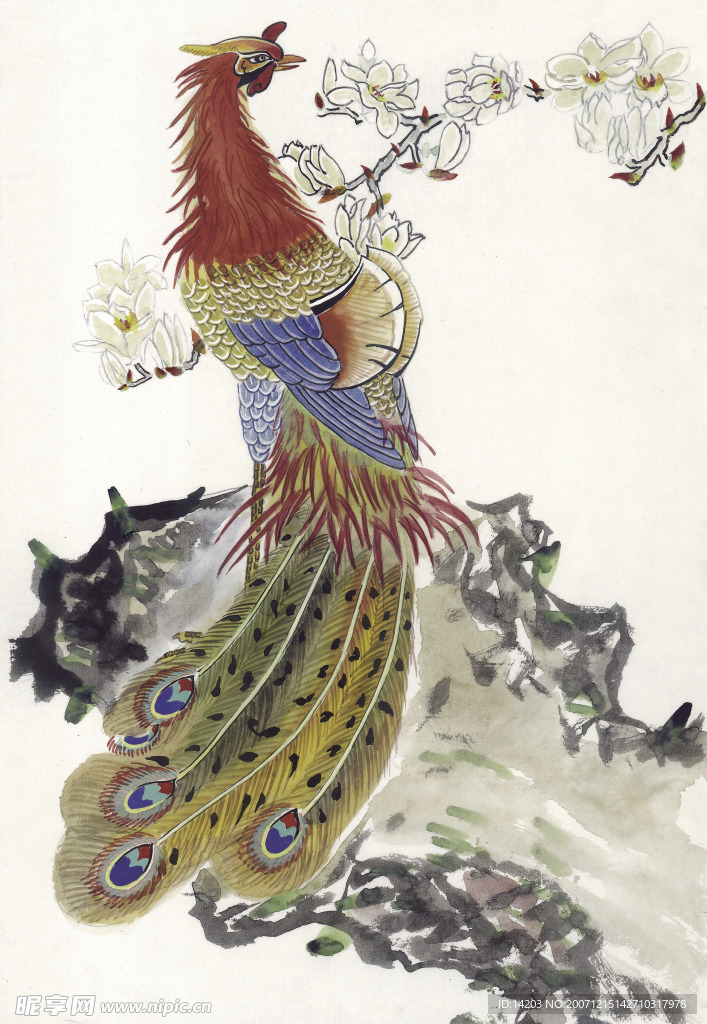 吉祥鹊鸟
