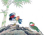 吉祥鹊鸟