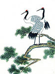 吉祥鹊鸟