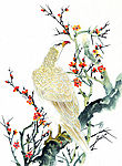 吉祥鹊鸟