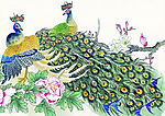 吉祥鹊鸟