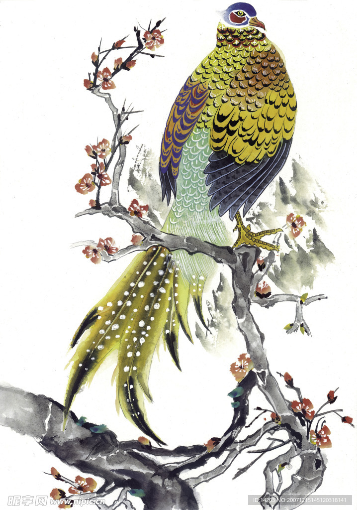 吉祥鹊鸟