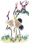 吉祥鹊鸟
