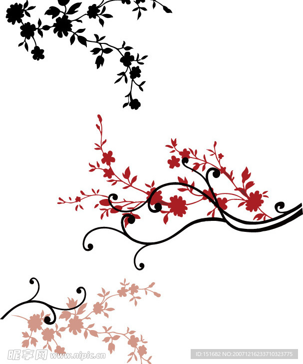 女人和花47