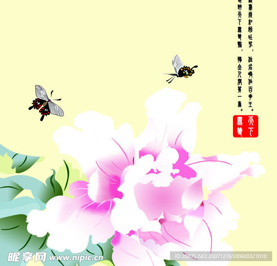 牡丹