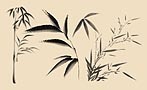国画竹子竹叶