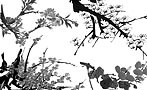 国画梅花