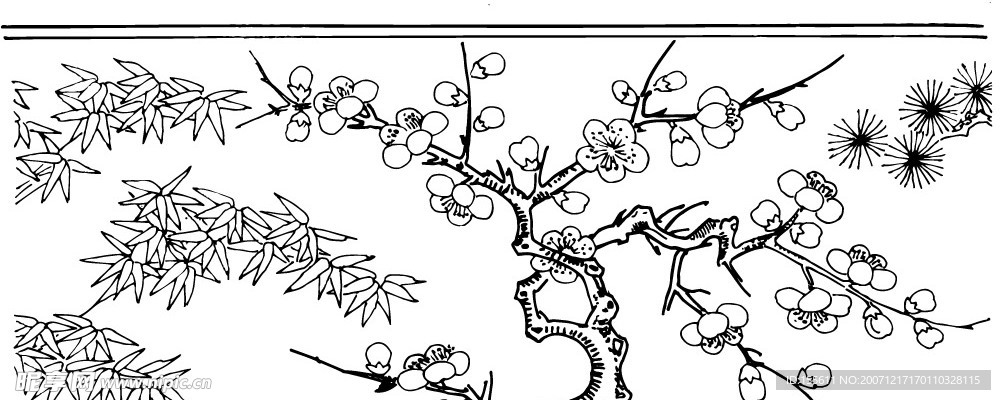 兰花