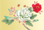 手绘牡丹花
