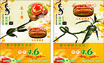 精美花之恋美食广告.cdr