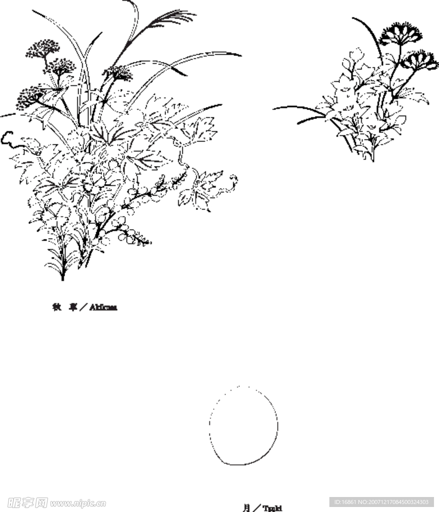 日本线描植物花卉矢量素材