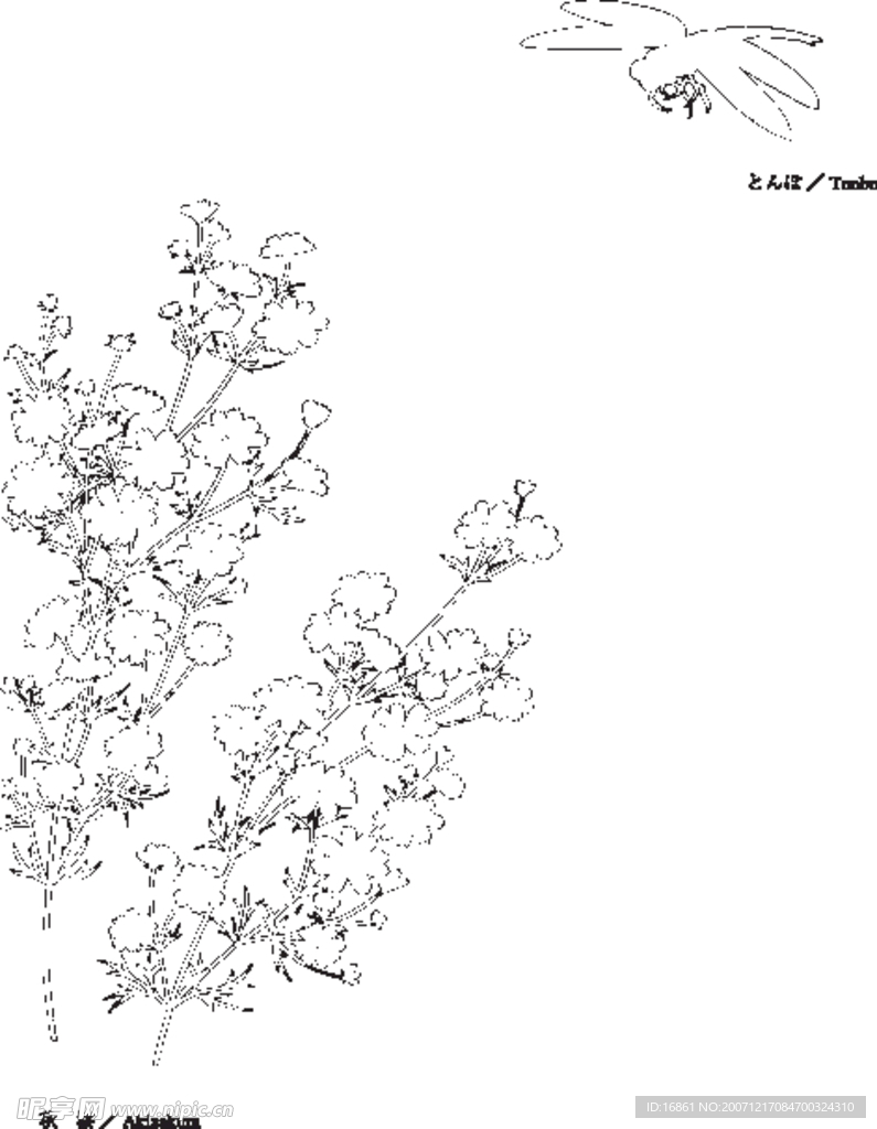 日本线描植物花卉矢量素材